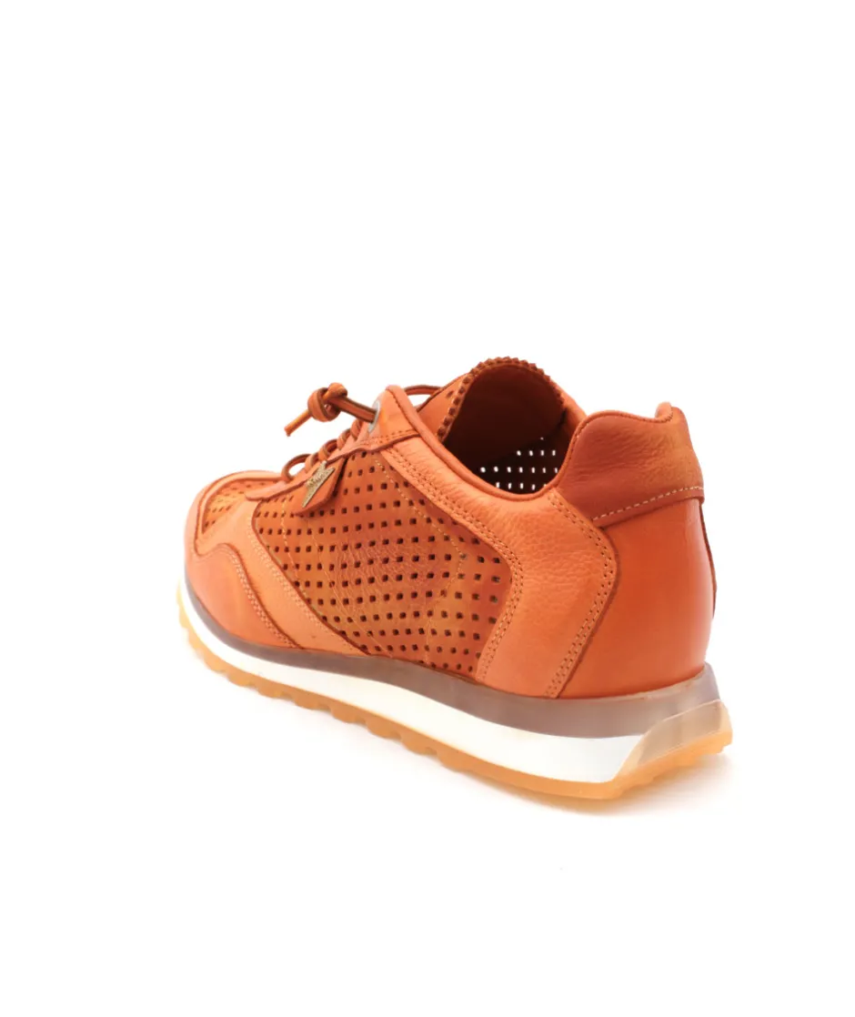 Homme L'Empreinte Chaussures Baskets|CETTI C848