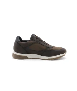 Homme L'Empreinte Chaussures Baskets|FLUCHOS F1603 LOUIS