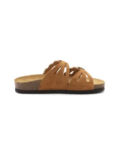 Femme L'Empreinte Chaussures Mules|SCHOLL JEANNE